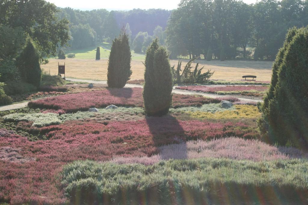 Lüneburger Heide Apartment